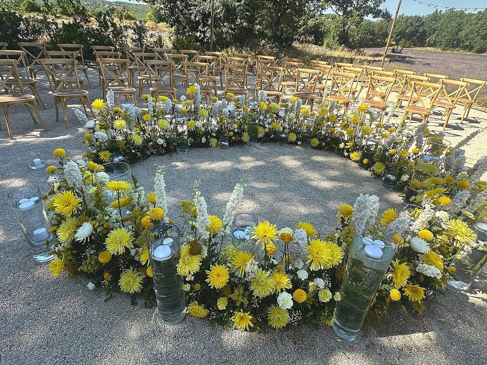 Fleurs sauvages dans un champ provençal